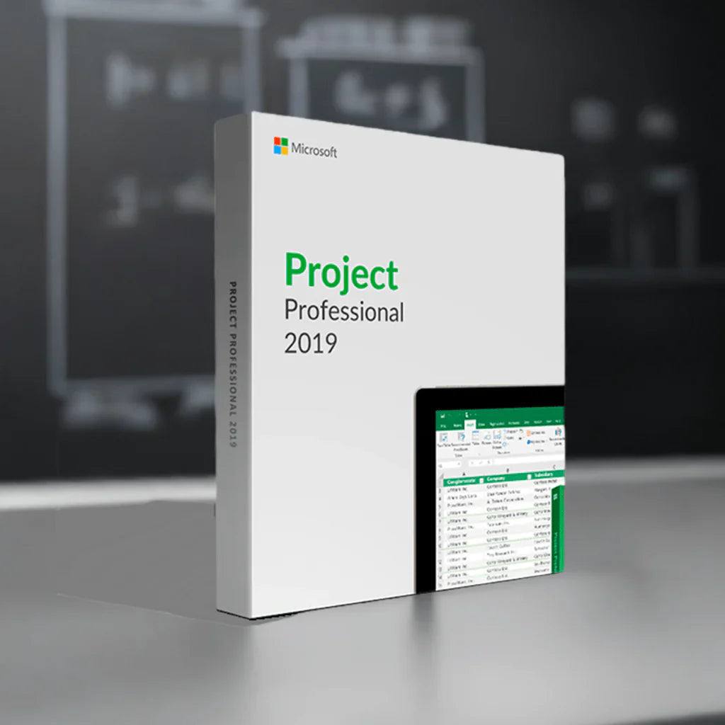 Microsoft Project 2019 Professional