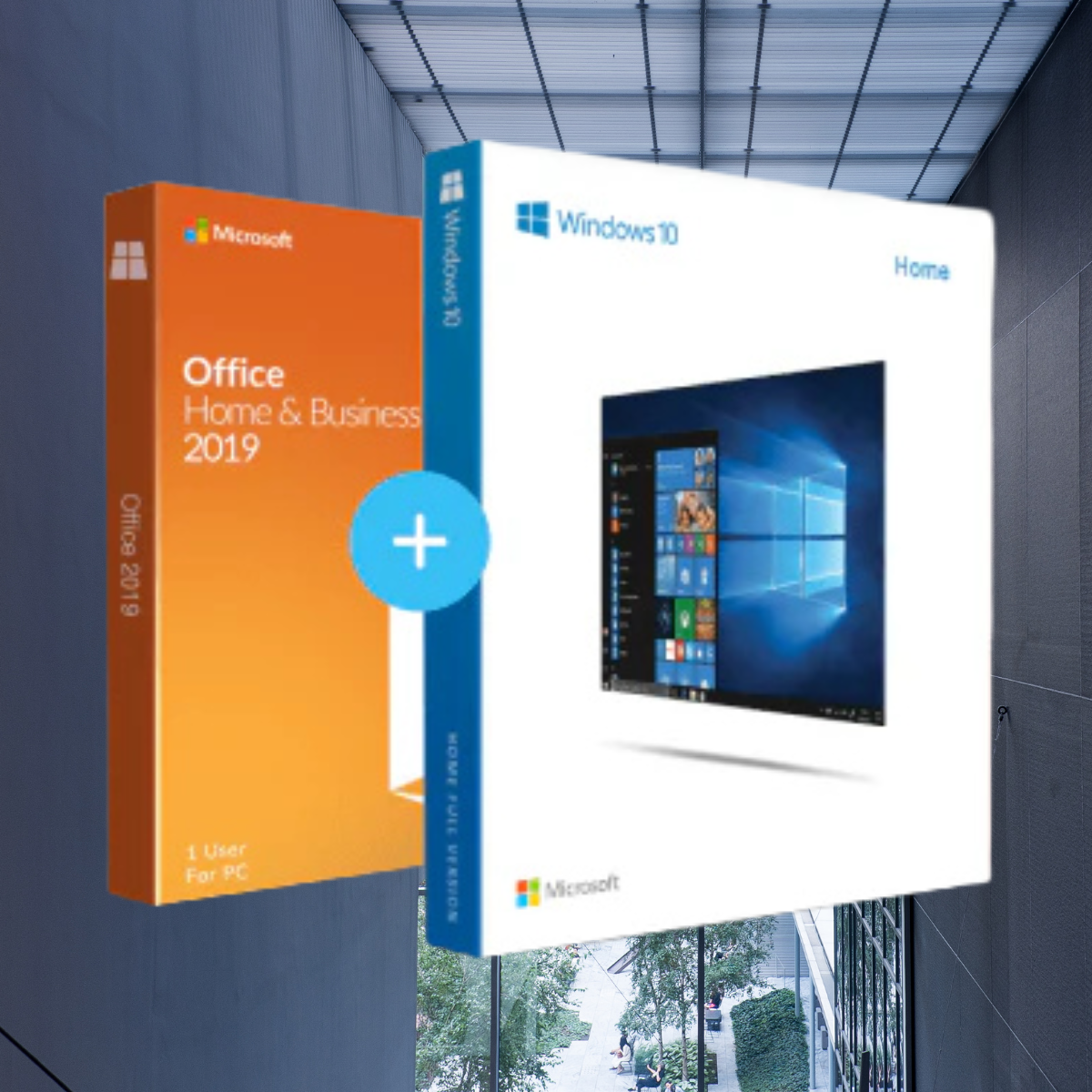 Microsoft Office 2019 Home and Business + Windows 10 Home