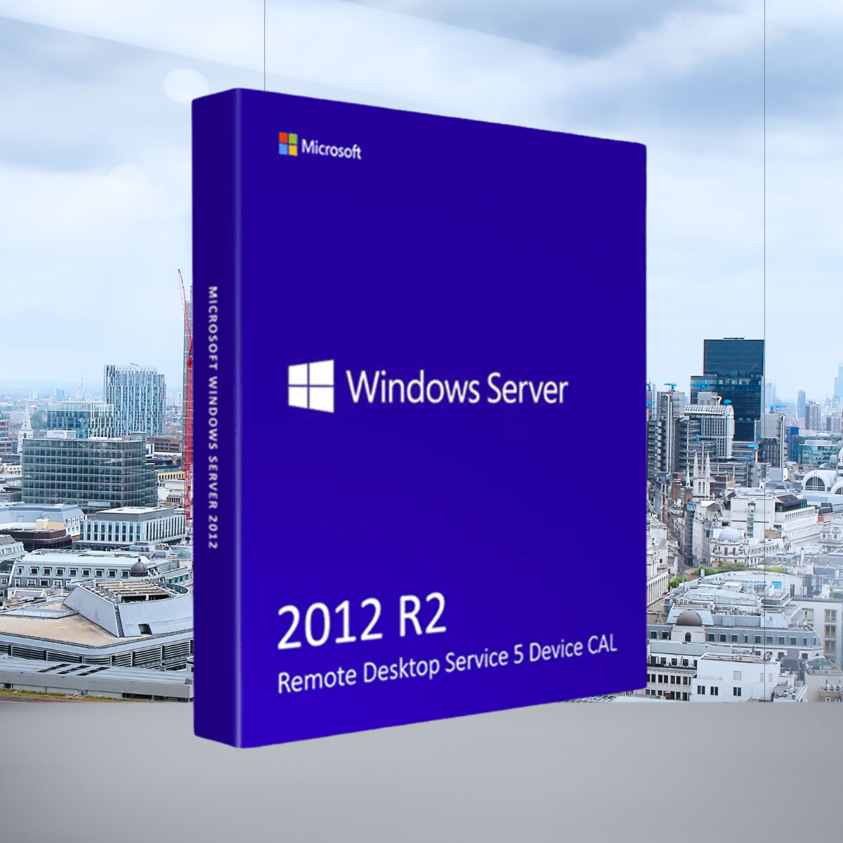 Microsoft Windows Server 2012 R2 Remote Desktop Service 5 Device CAL