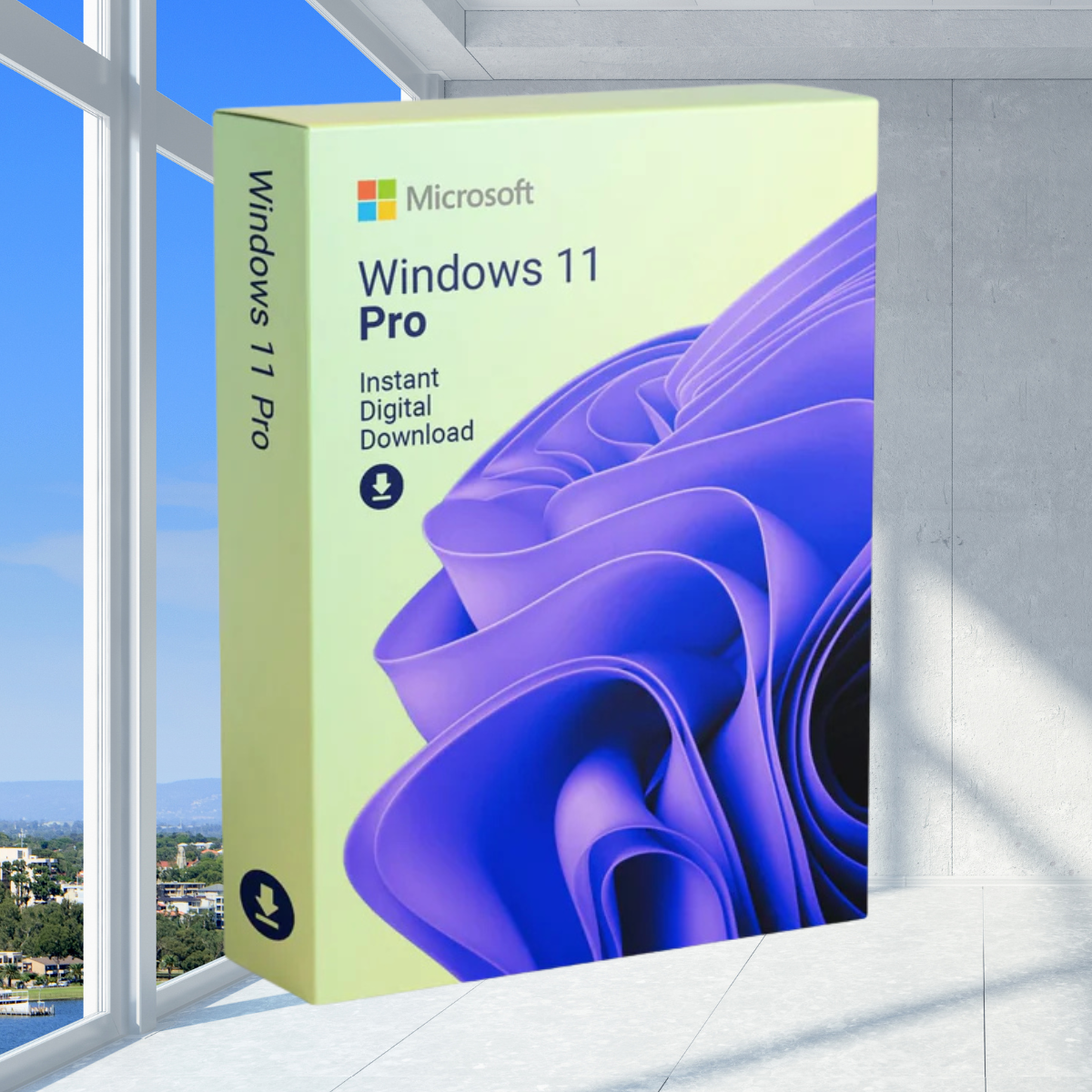 Microsoft Windows 11 Professional