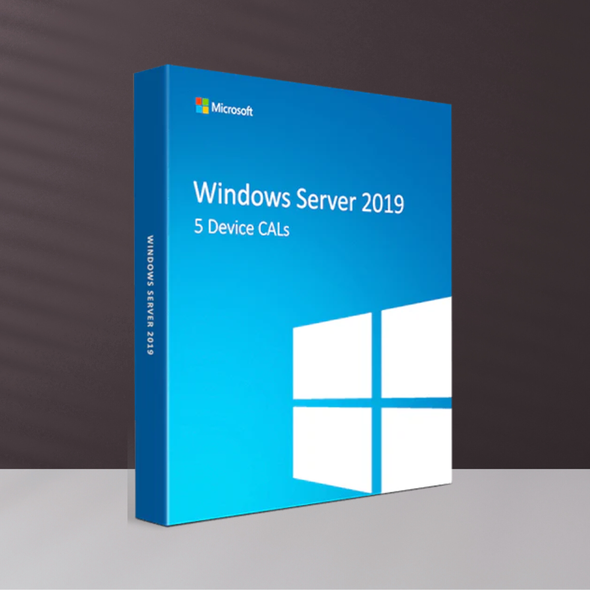 Windows Server 2019 5 Device CALs