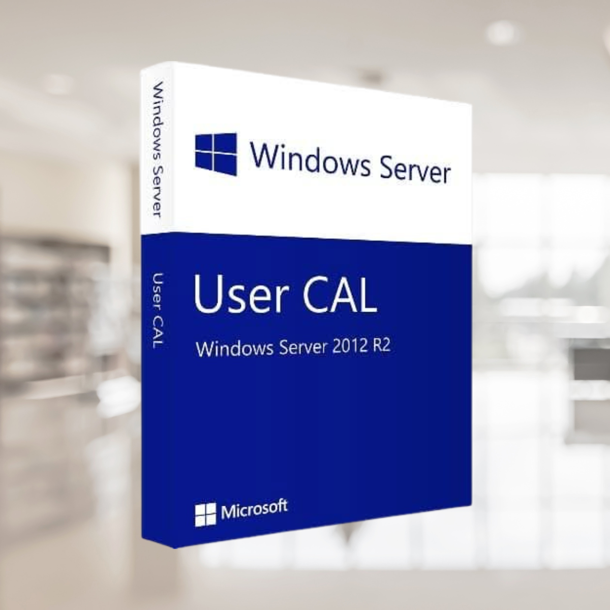 Windows Server 2012 Remote Desktop Services (User CAL)